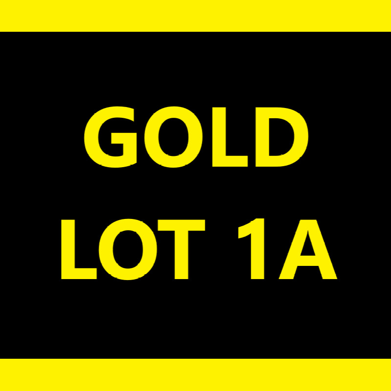 Pittsburgh Steelers Vs Chicago Bears 11/08/21 - Gold Lot 1a Parking Pass!!